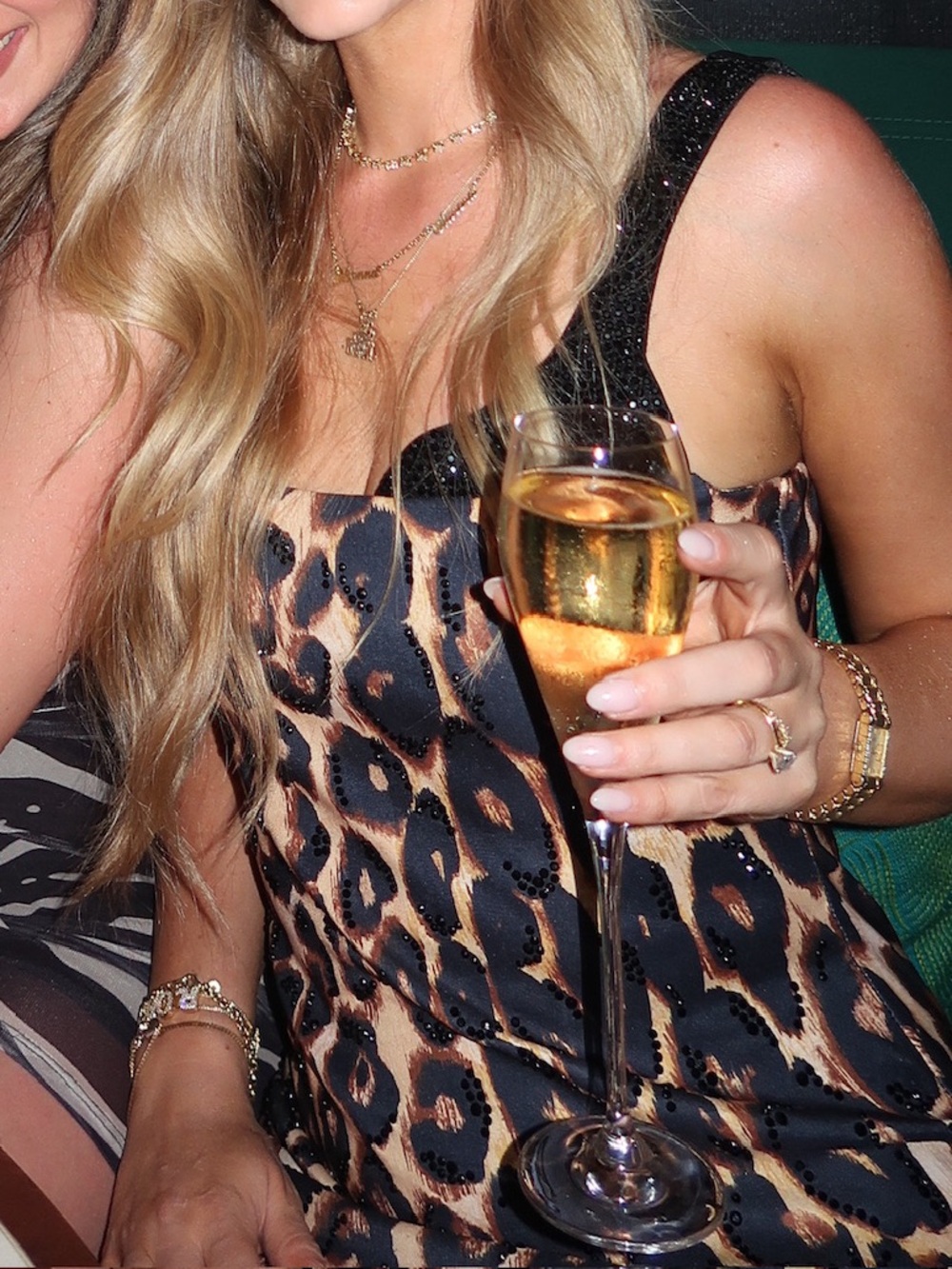 Leopard Print Bodycon Mini Dress - Embellished Black & Brown